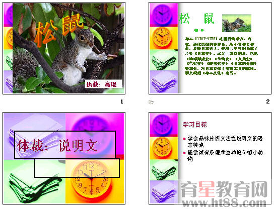 鿴Ԥͼ