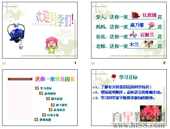 鿴Ԥͼ