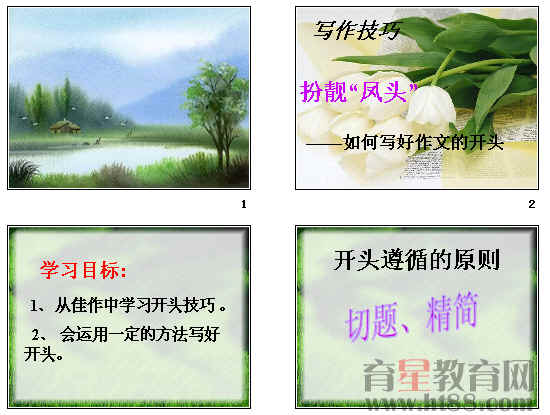 鿴Ԥͼ