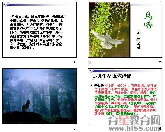 鿴Ԥͼ