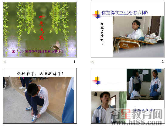 鿴Ԥͼ