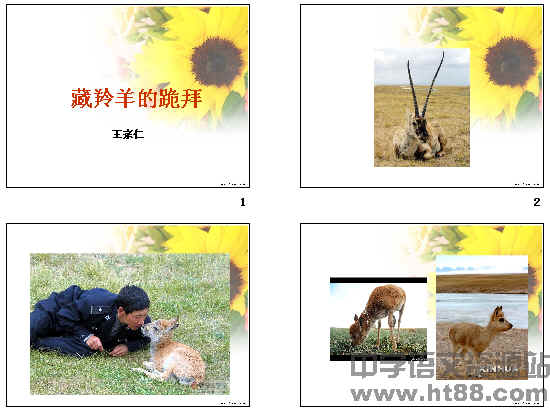 鿴Ԥͼ
