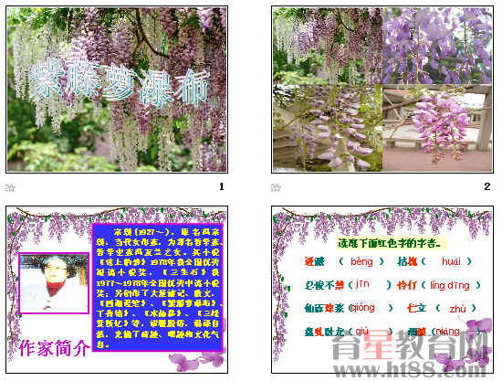 鿴Ԥͼ