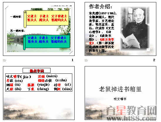 鿴Ԥͼ