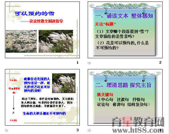 鿴Ԥͼ