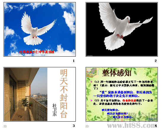 鿴Ԥͼ