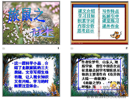 鿴Ԥͼ