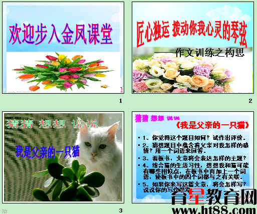 鿴Ԥͼ