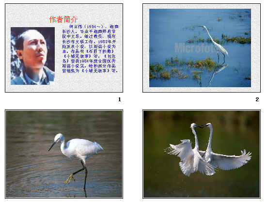 鿴Ԥͼ