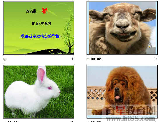 鿴Ԥͼ
