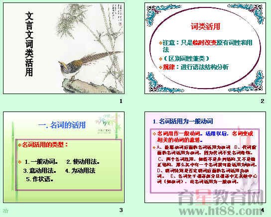 鿴Ԥͼ
