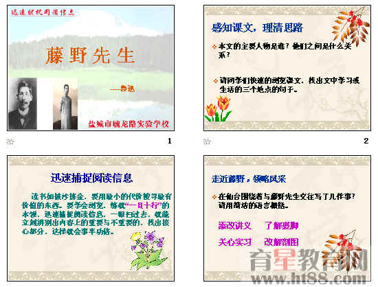 鿴Ԥͼ
