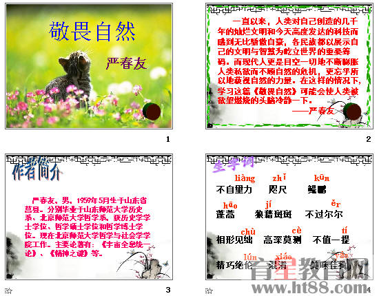 鿴Ԥͼ