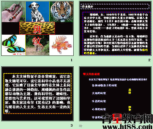鿴Ԥͼ