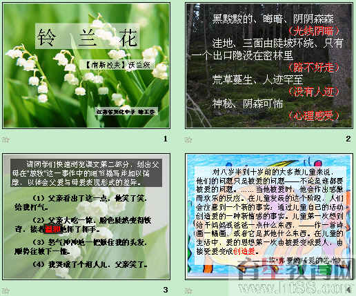鿴Ԥͼ