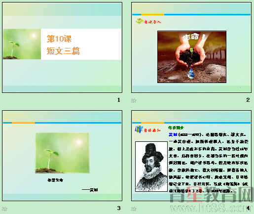 鿴Ԥͼ