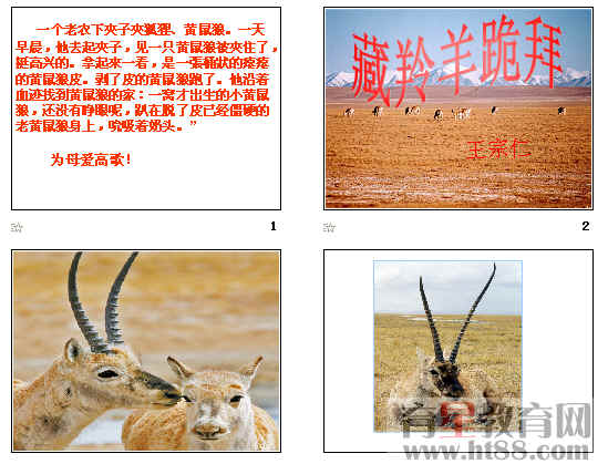 鿴Ԥͼ