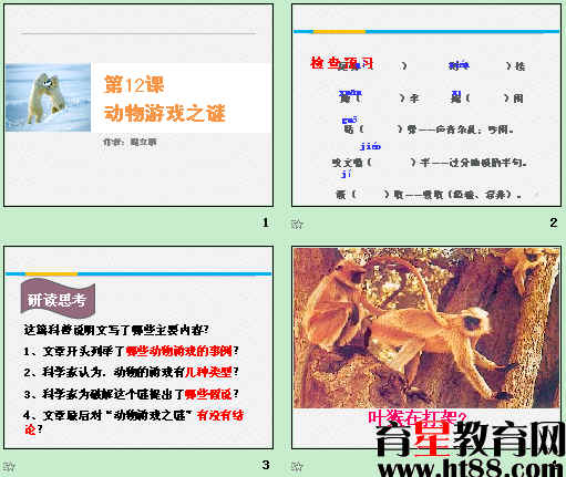 鿴Ԥͼ