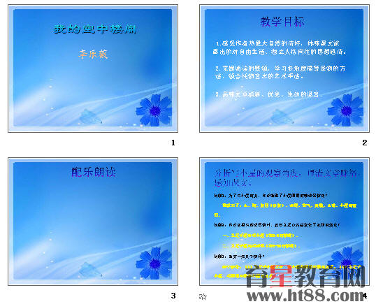 查看预览图