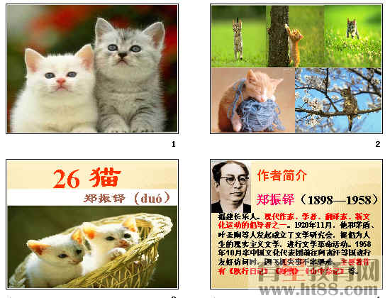 鿴Ԥͼ