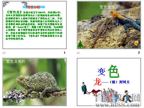 鿴Ԥͼ