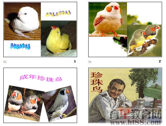 鿴Ԥͼ