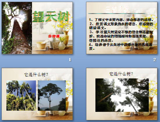 鿴Ԥͼ