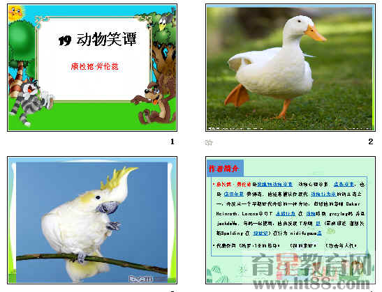 鿴Ԥͼ