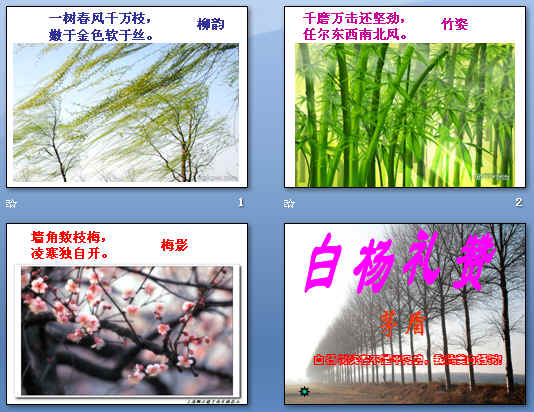 鿴Ԥͼ
