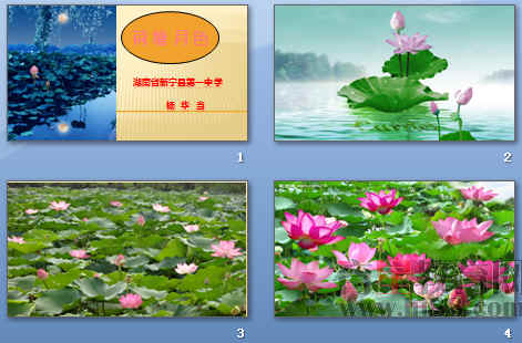 鿴Ԥͼ