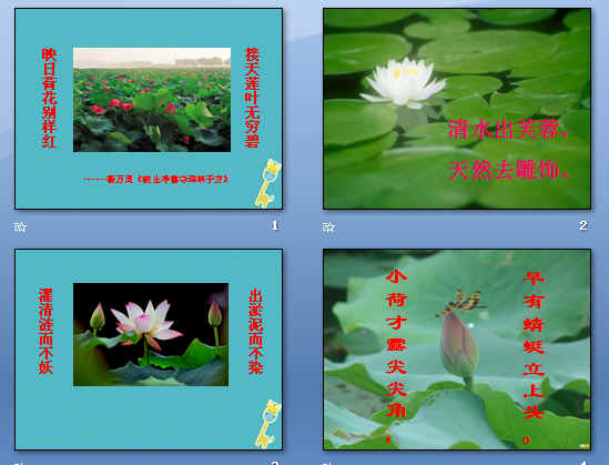 鿴Ԥͼ