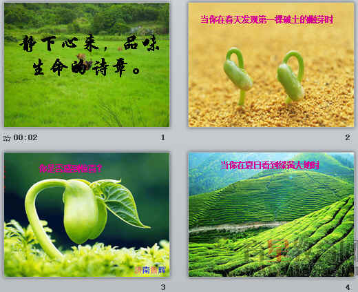 鿴Ԥͼ