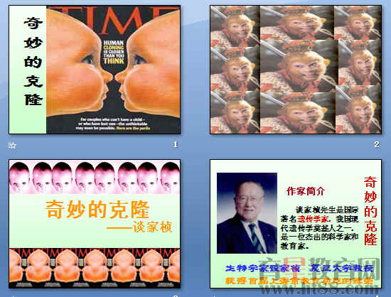 鿴Ԥͼ