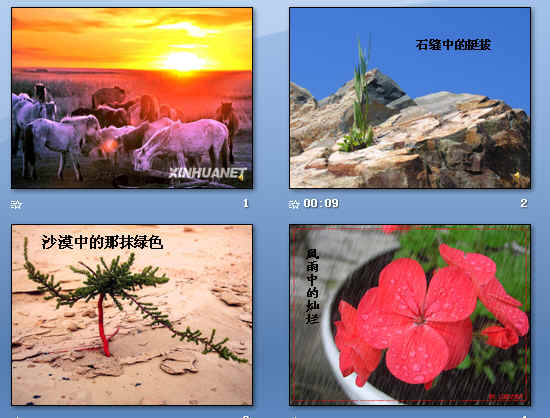 鿴Ԥͼ