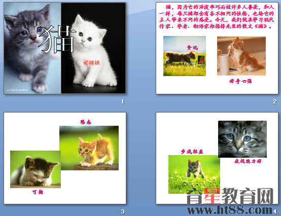 鿴Ԥͼ