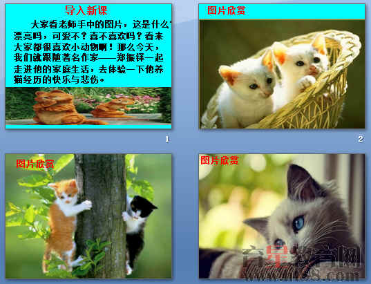 鿴Ԥͼ