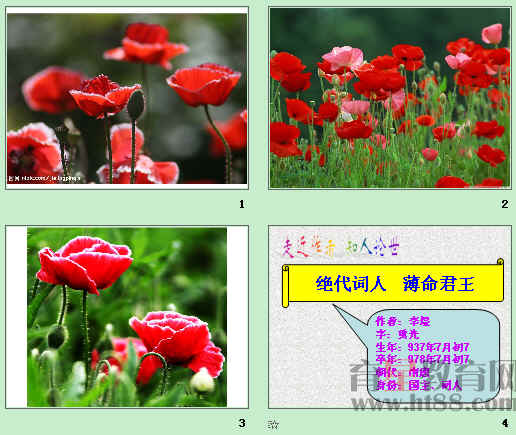 鿴Ԥͼ