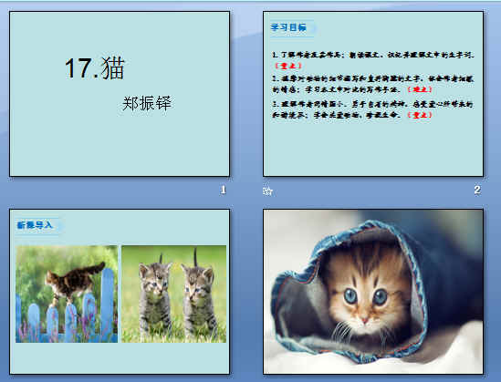 鿴Ԥͼ