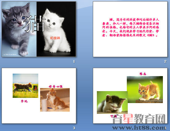鿴Ԥͼ