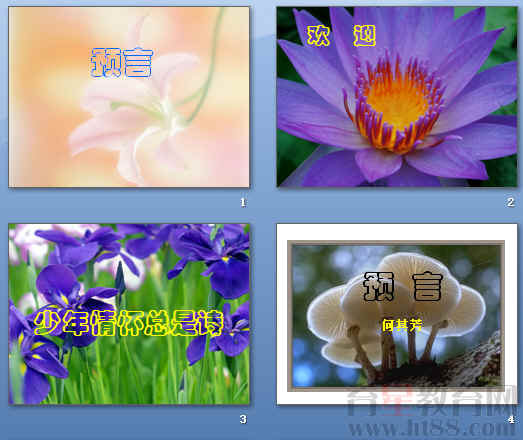 鿴Ԥͼ