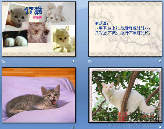 鿴Ԥͼ