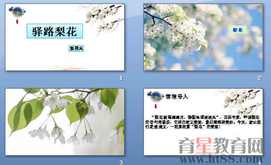 鿴Ԥͼ