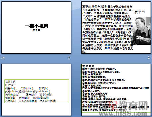 鿴Ԥͼ