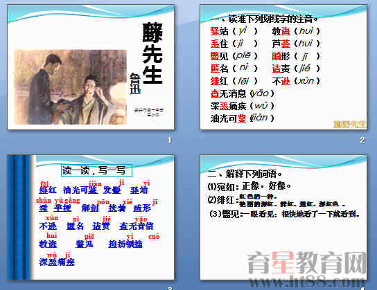 鿴Ԥͼ
