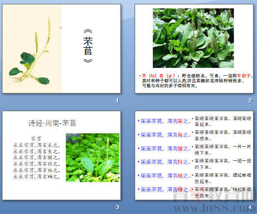 鿴Ԥͼ