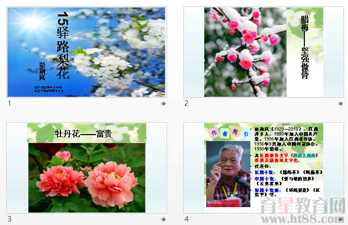 鿴Ԥͼ